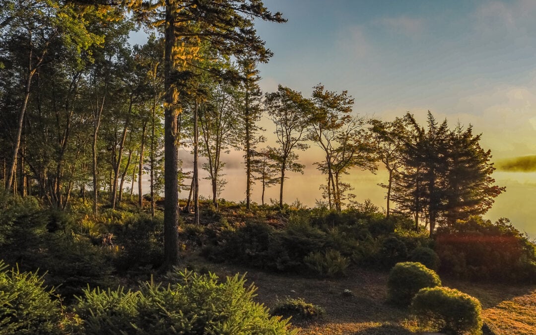 Das erste Mal in Nova Scotia